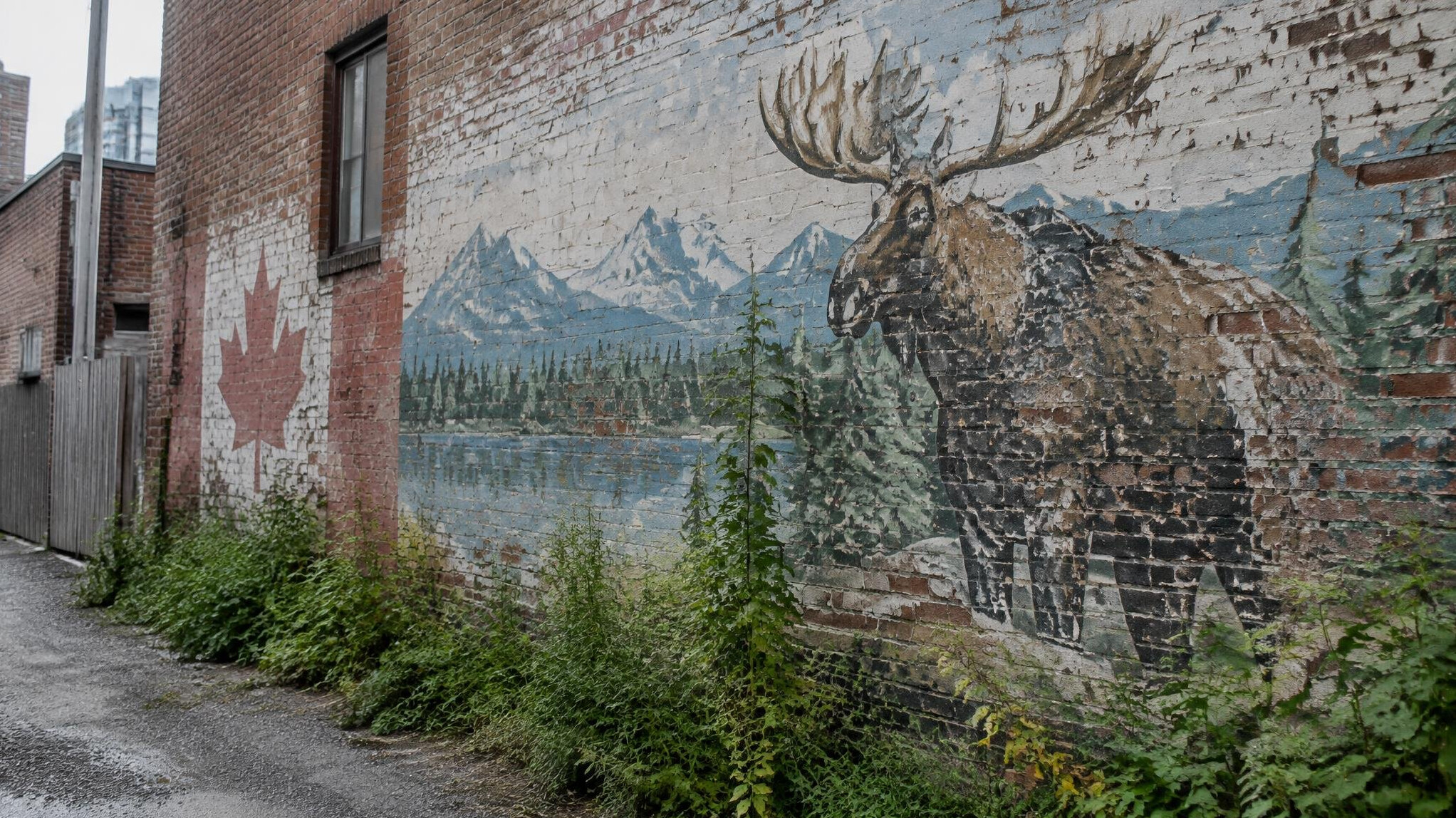 Weathered brick wall with a faded mural in a Canadian alley